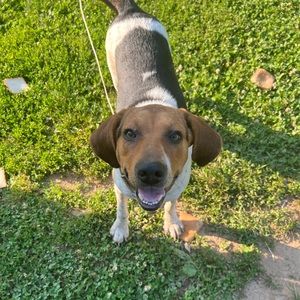 Meet your Posher, Gabby